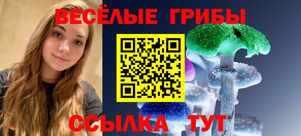 Псилоцибиновые грибы мухоморы  Галлюциногенные грибы мицелий  Вход с VPN  Калининград 